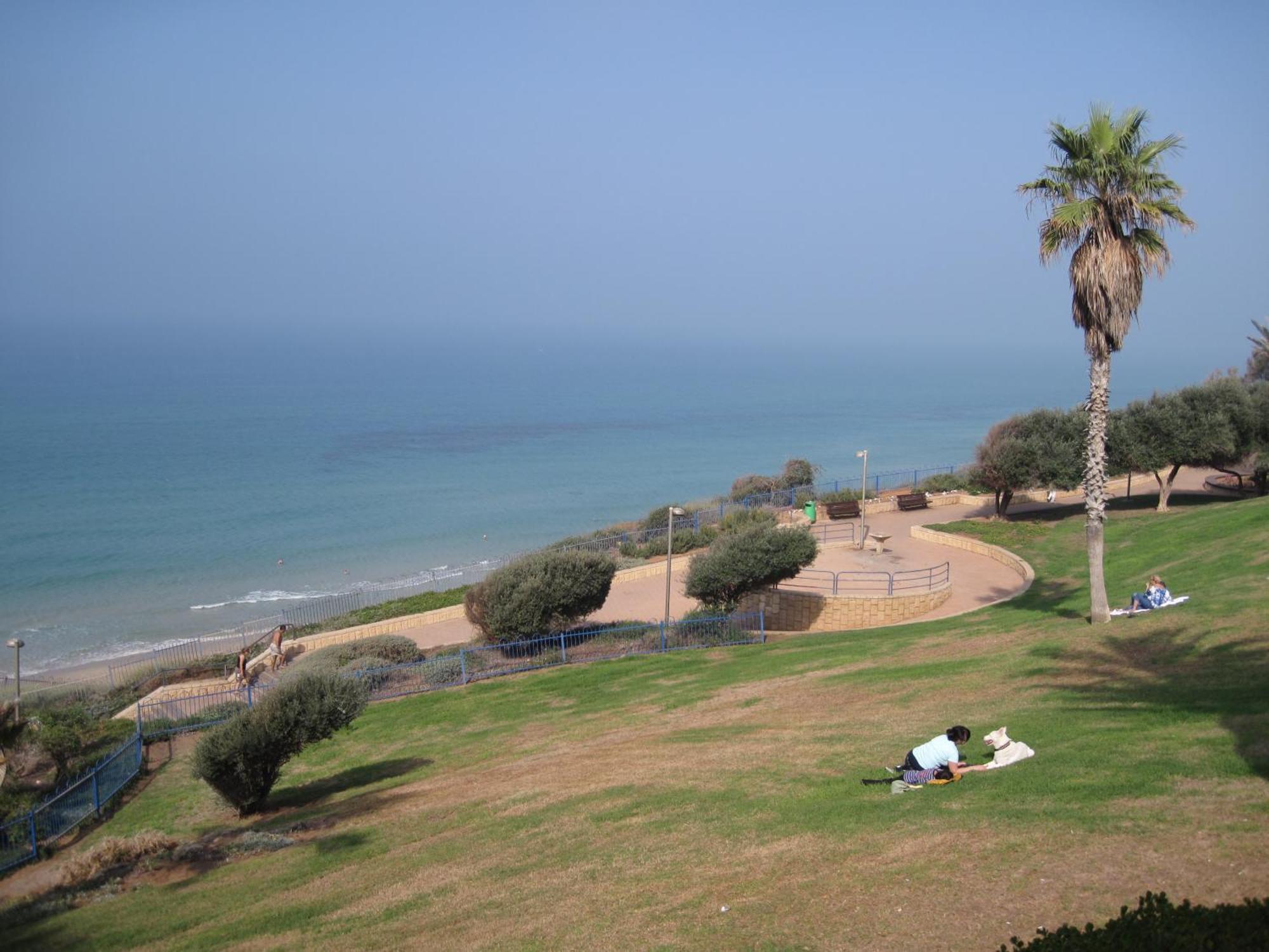 נתניה דירות ניצה מראה חיצוני תמונה